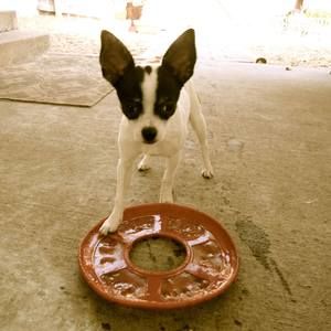 Meet your Posher, Kenzie